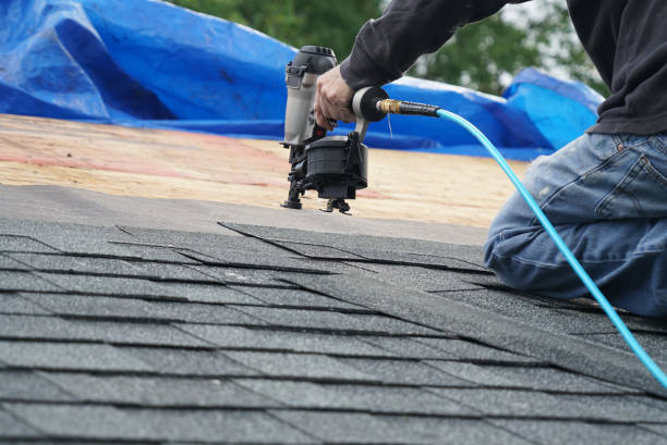 Best Roof Gutter Cleaning  in Haven, KS